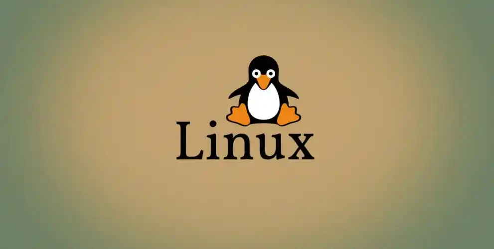 Linux内网服务器设置代理可以访问外网的机器来访问外网